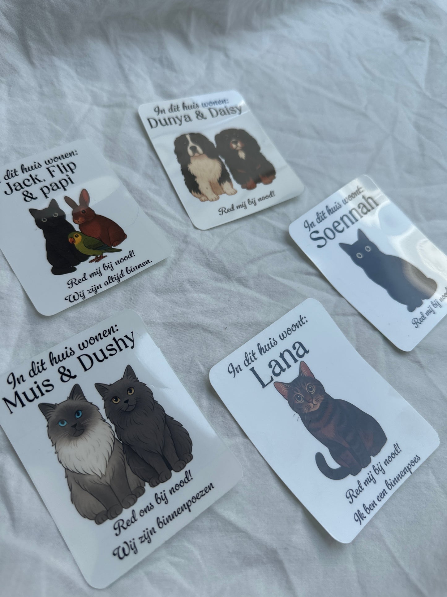 Pre Order | Voordeur sticker | Huisdieren